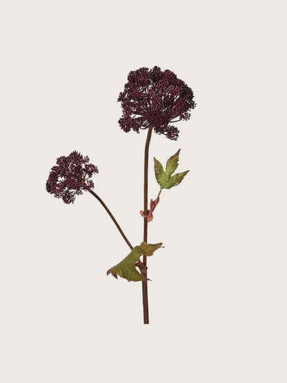 Faux Burgundy Angelica Seed Head with Leaves