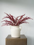 A white ceramic milk jug vase filled with dark burgundy dried heather stems, displayed on a square bronze pedestal against a light gray background.