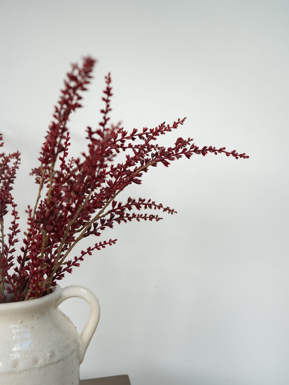 Dried burgundy spruce branches arranged in a rustic white ceramic pitcher against a plain light gray background.