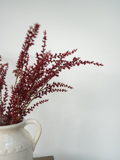 Dried burgundy spruce branches arranged in a rustic white ceramic pitcher against a plain light gray background.