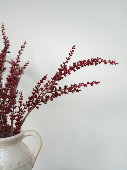 Deep burgundy dried floral stems arranged in a textured off-white ceramic pitcher against a plain light gray background.