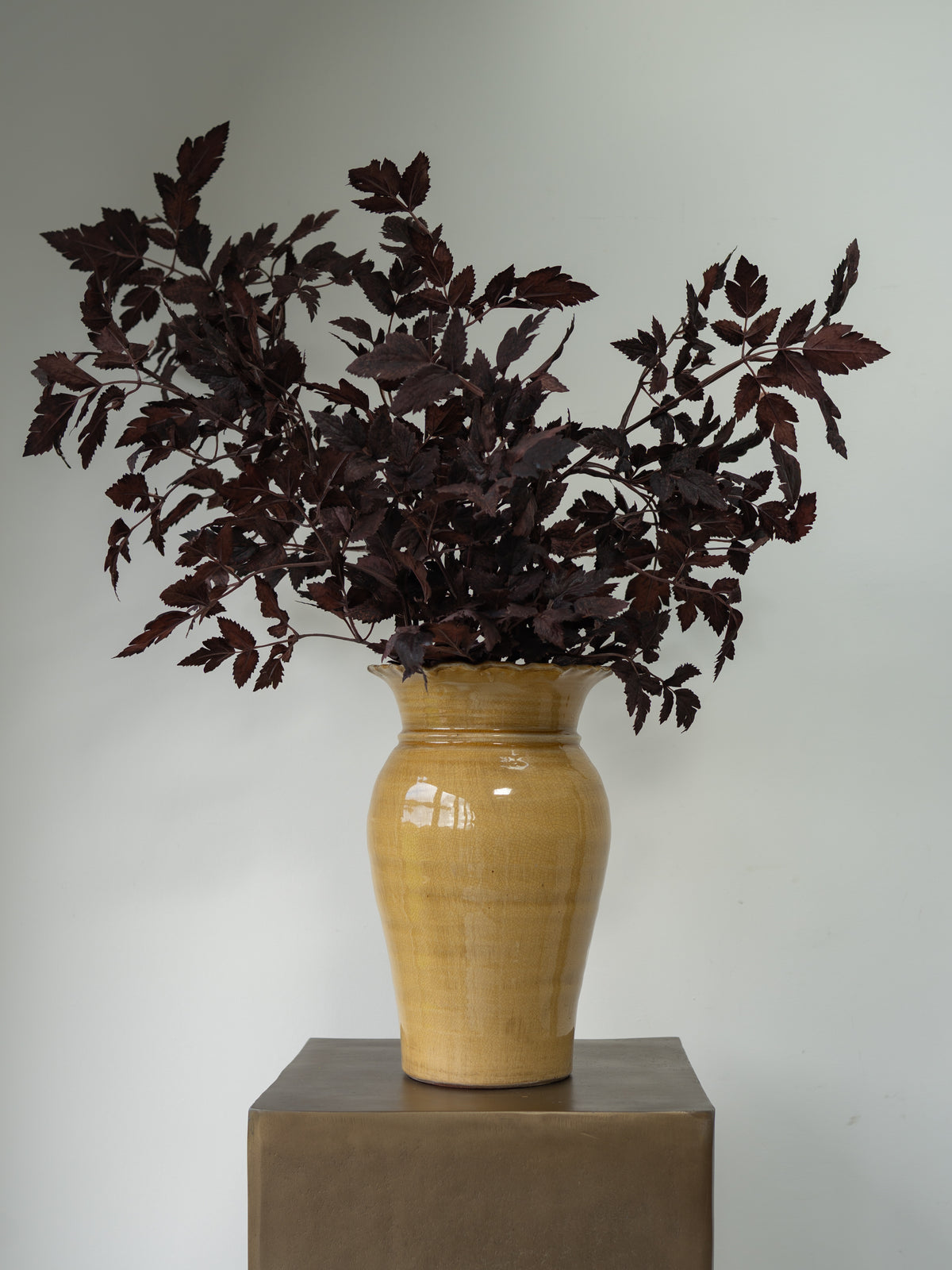 A dark burgundy leafy stem arrangement in a glossy mustard-yellow ceramic vase, displayed on a square metallic pedestal against a plain light gray wall.