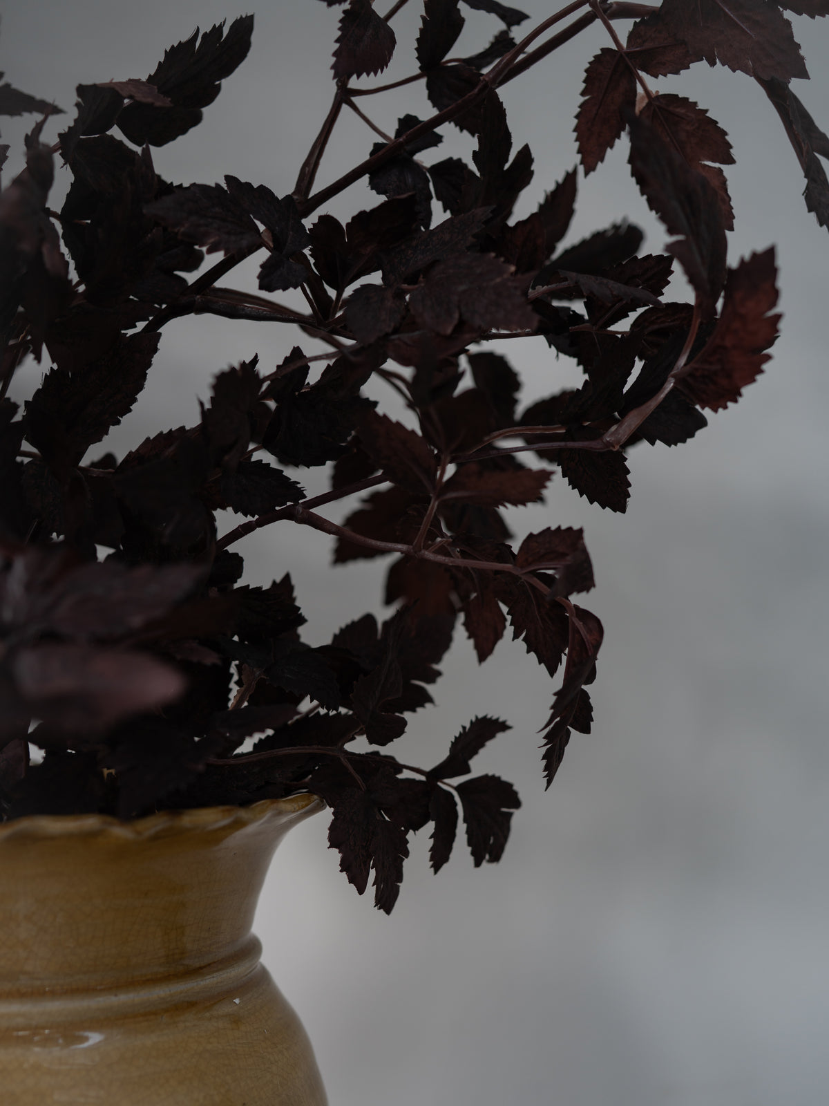 Dark burgundy artificial foliage with serrated leaves arranged in a light beige ceramic vase against a soft gray background.