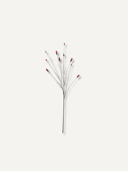 Faux Burgundy Pimpinell