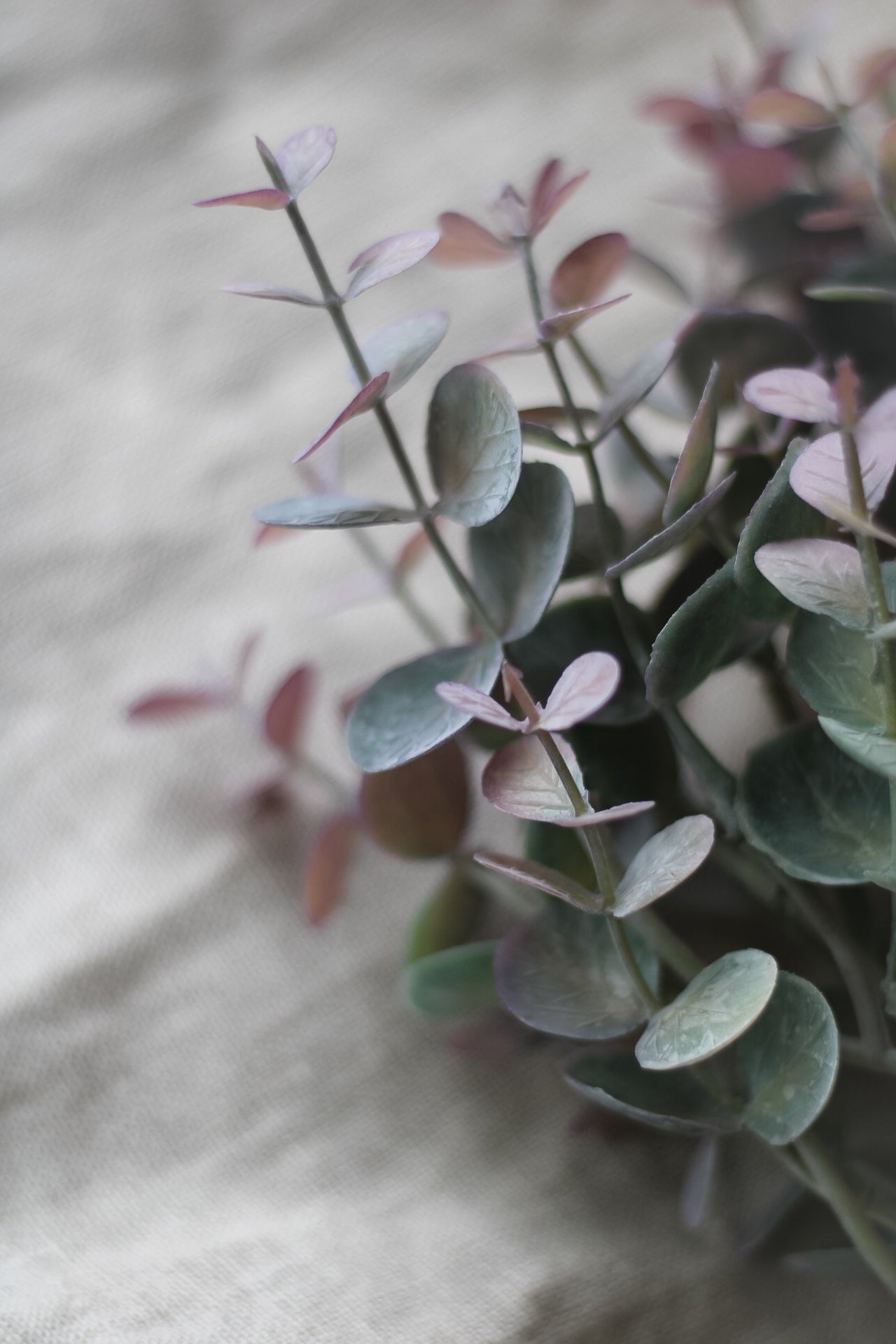 Faux Burgundy Tipped Eucalyptus Bush