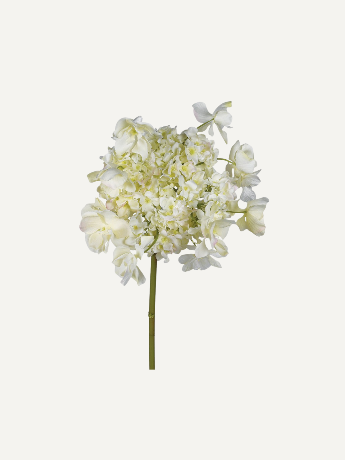 faux white butterfly hydrangea stem, beautiful delicate petals style in your home decor with lush faux foliage