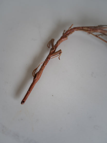 Faux Cream Mini Bud Trailing Spray