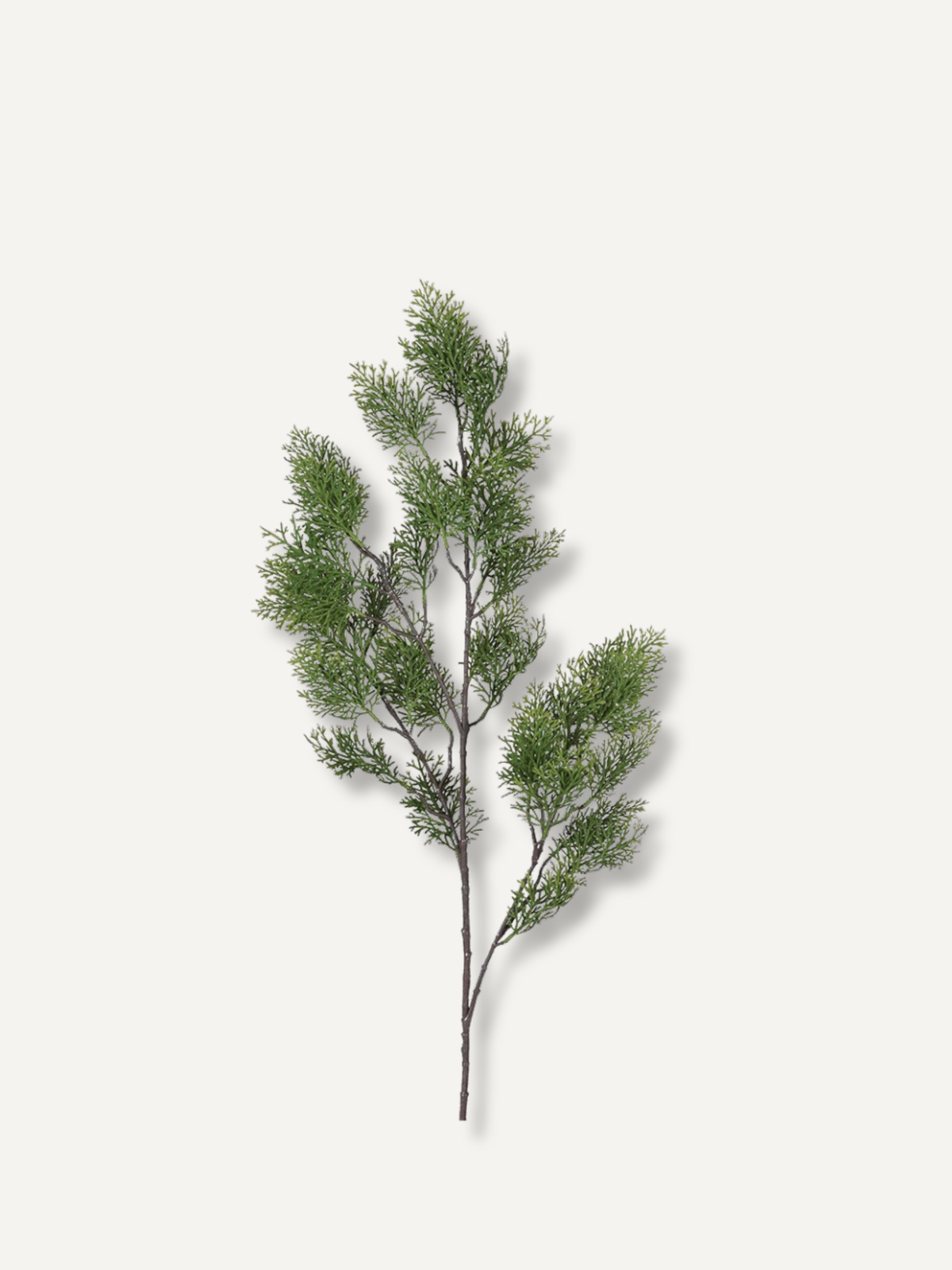 Faux Cypress Spray
