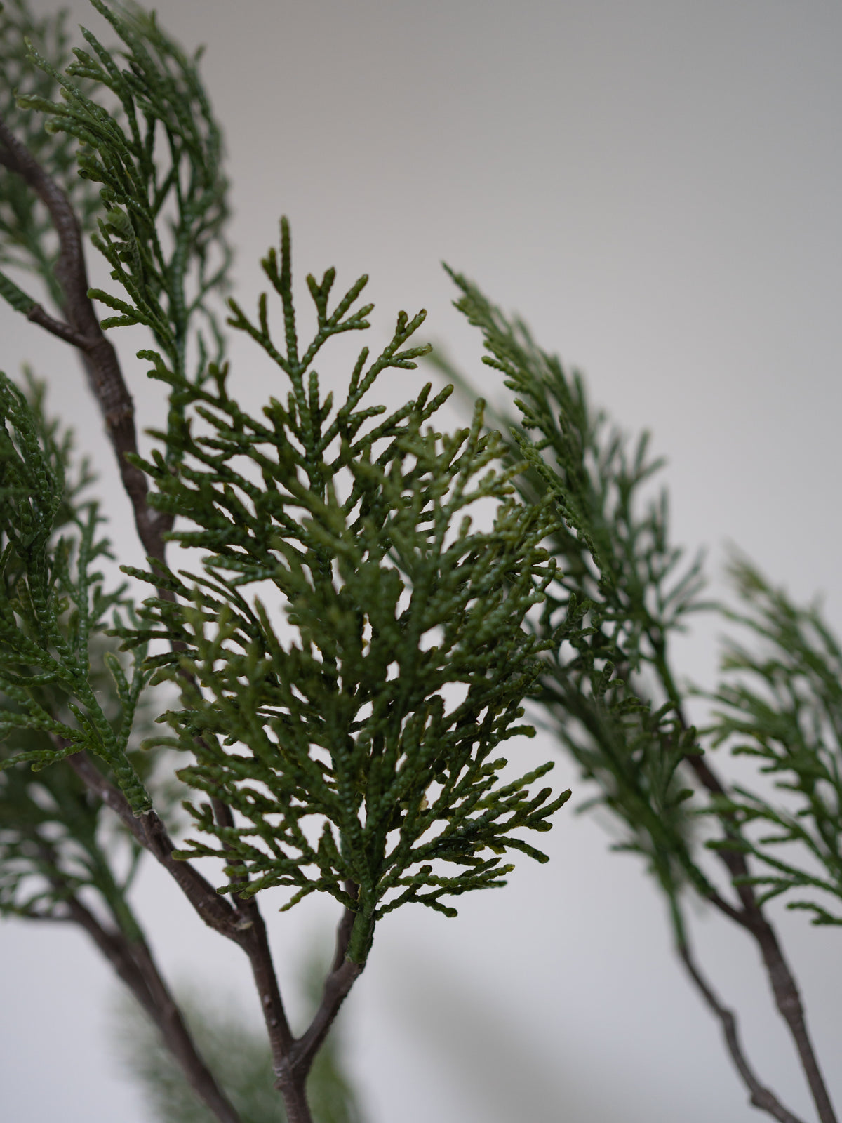 Faux Cypress Spray