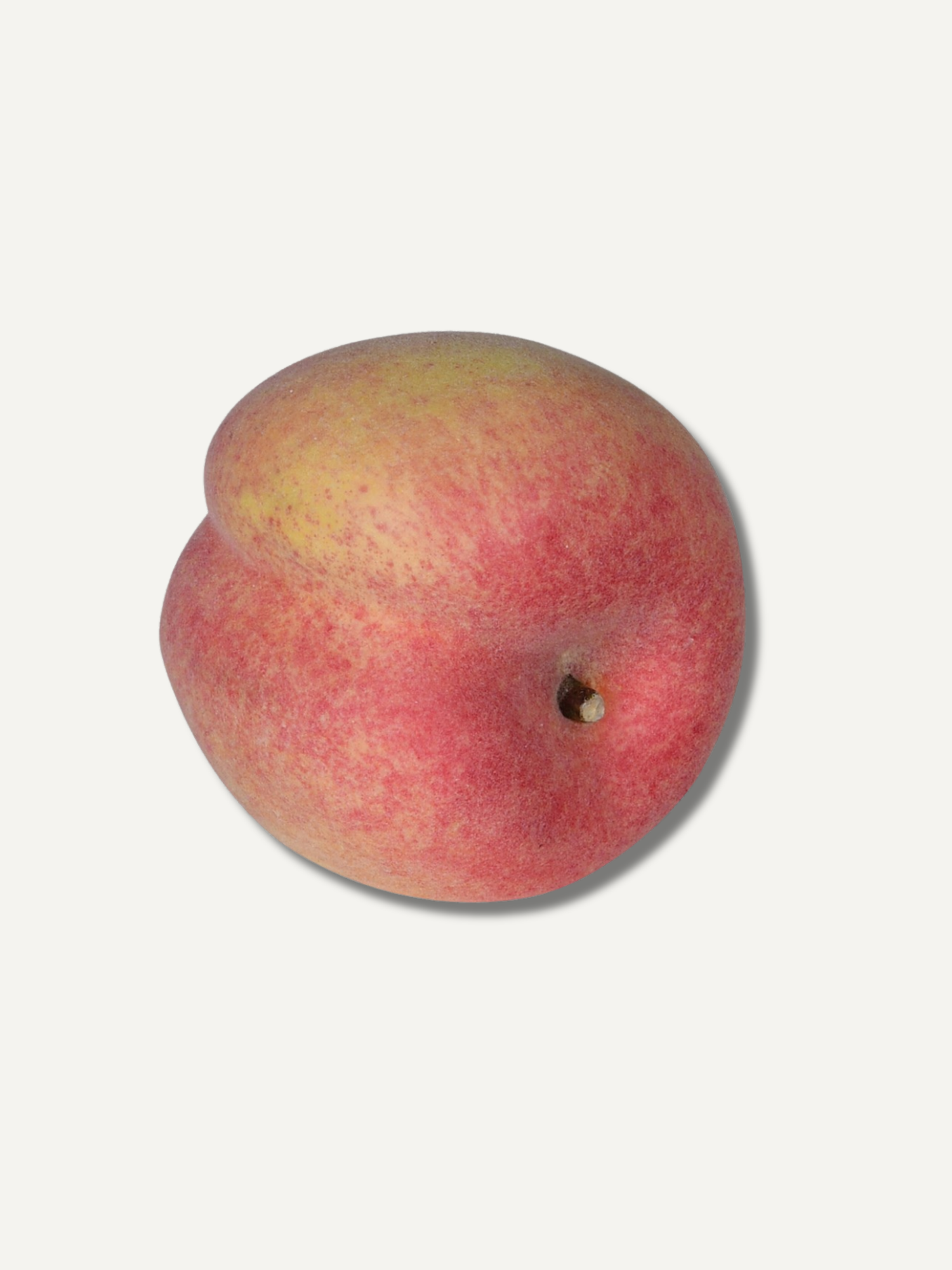 Faux Decorative Peach