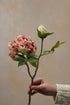 Faux Dried Blush Pink Peony Stem