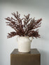 A rustic white ceramic two-handled jug vase filled with dried burgundy-brown ornamental grass, displayed on a dark brown pedestal against a light gray background.