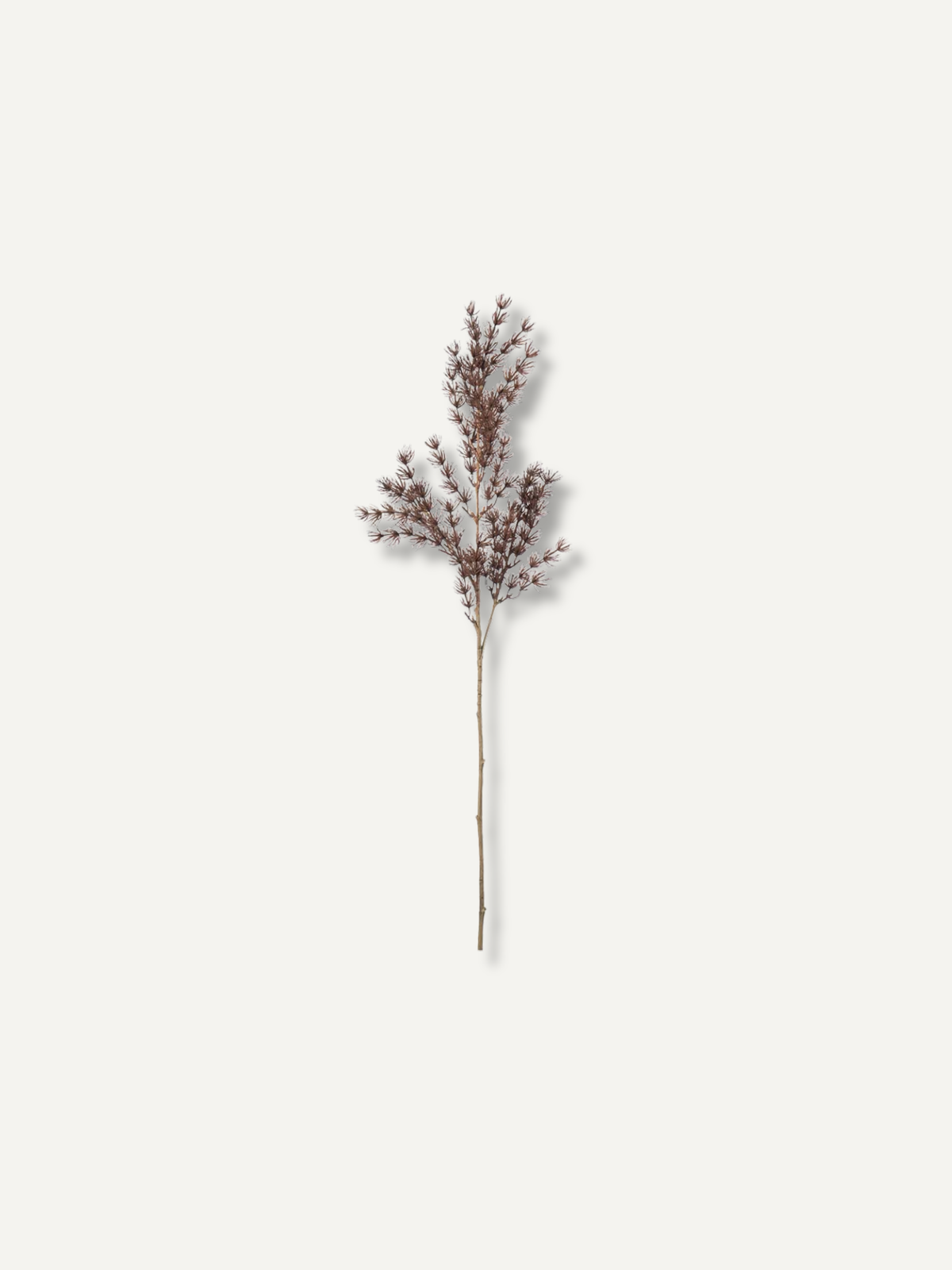 Faux Dried Brown Asparagus Fern Spray