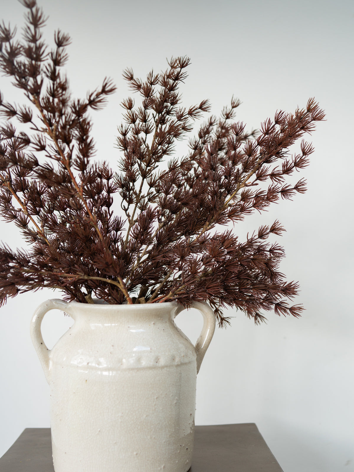 Dried dark brown foliage arranged in a white ceramic two-handled vase against a plain light gray background.