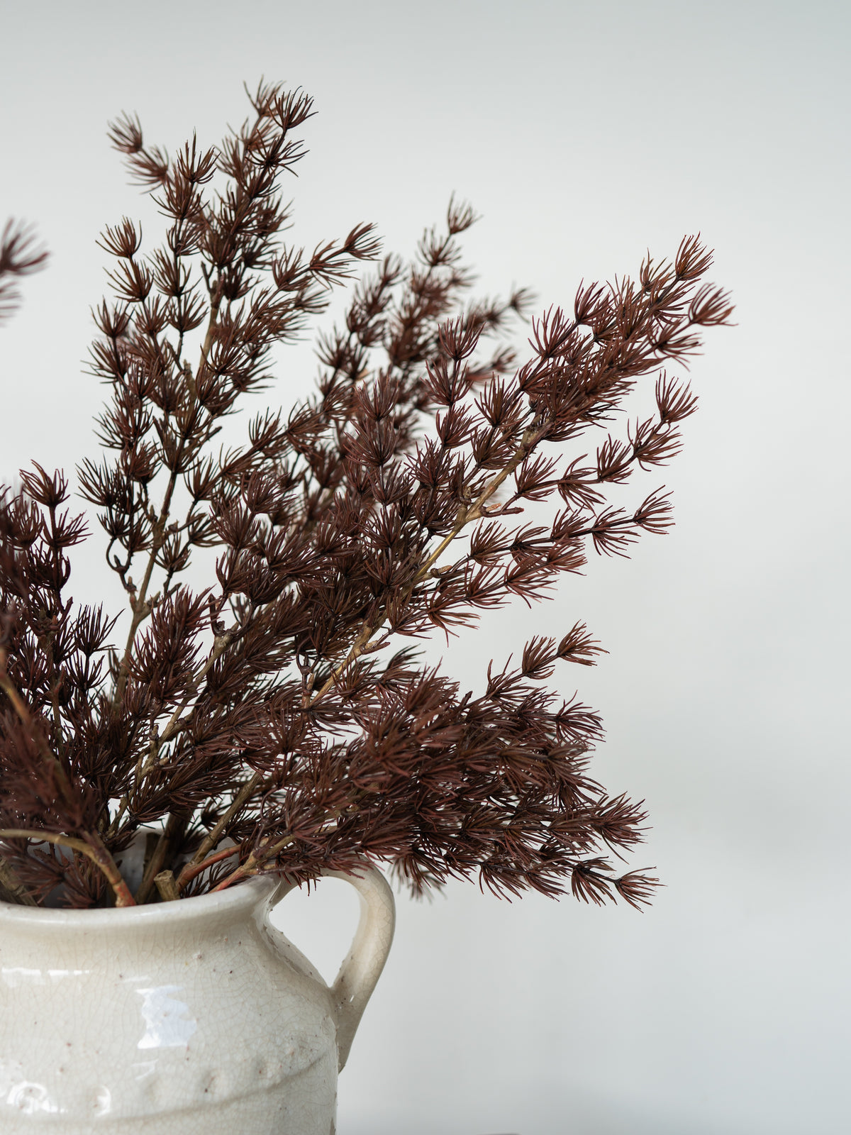 Dried brown ornamental grass stems arranged in a speckled off-white ceramic pitcher against a plain light gray background.