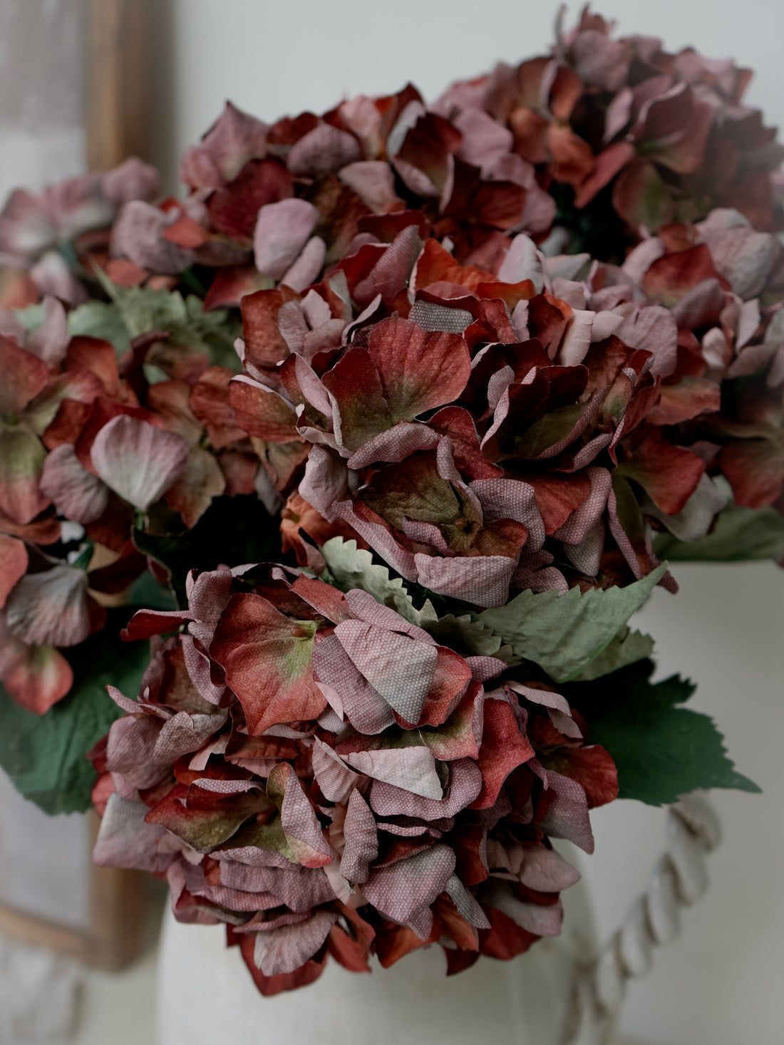 Close-up of dried hydrangea flowers with a blurred background