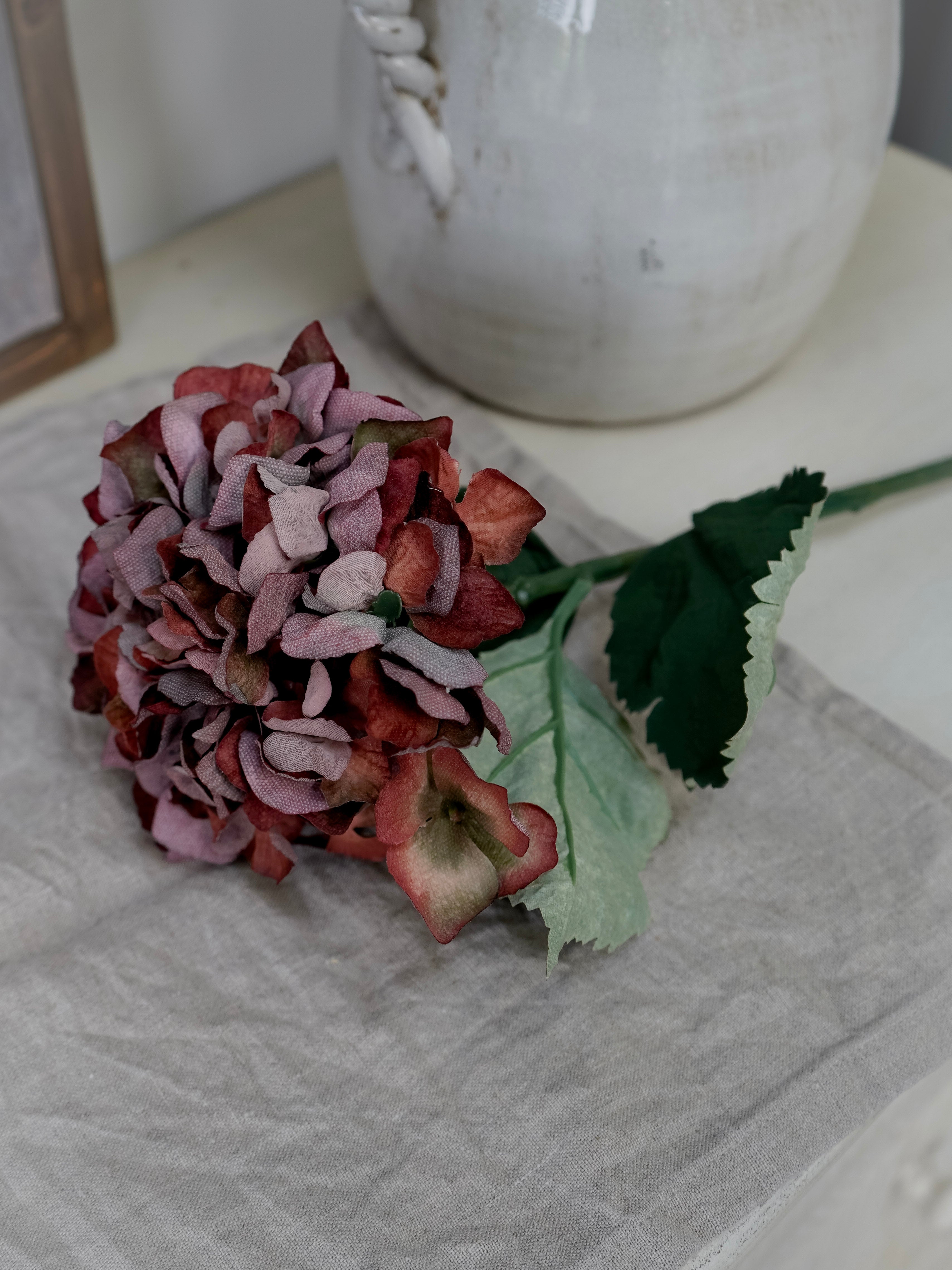 Dried flower on a textured surface with a blurred background