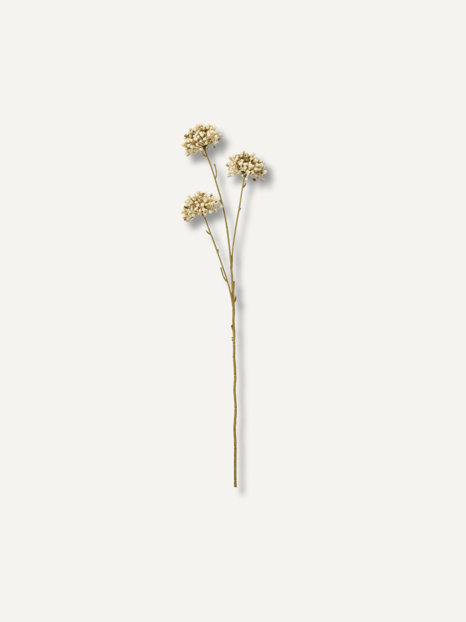 Faux Dried Cream Allium Stem