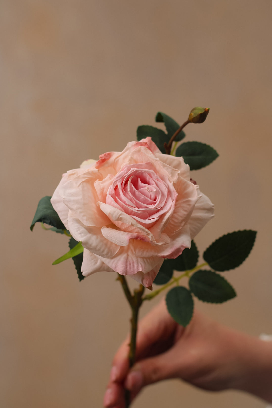 A single dusky pink faux dried touch rose spray with green leaves, held against a neutral background.