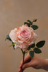A single dusky pink faux dried touch rose spray with green leaves, held against a neutral background.