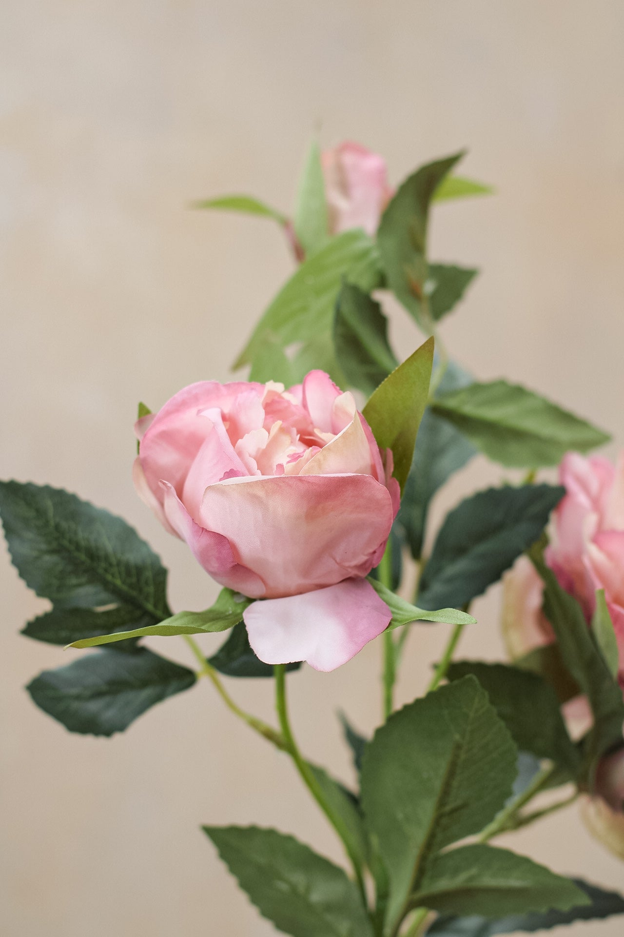 Faux Dusky Pink Peony &amp; Rose Spray