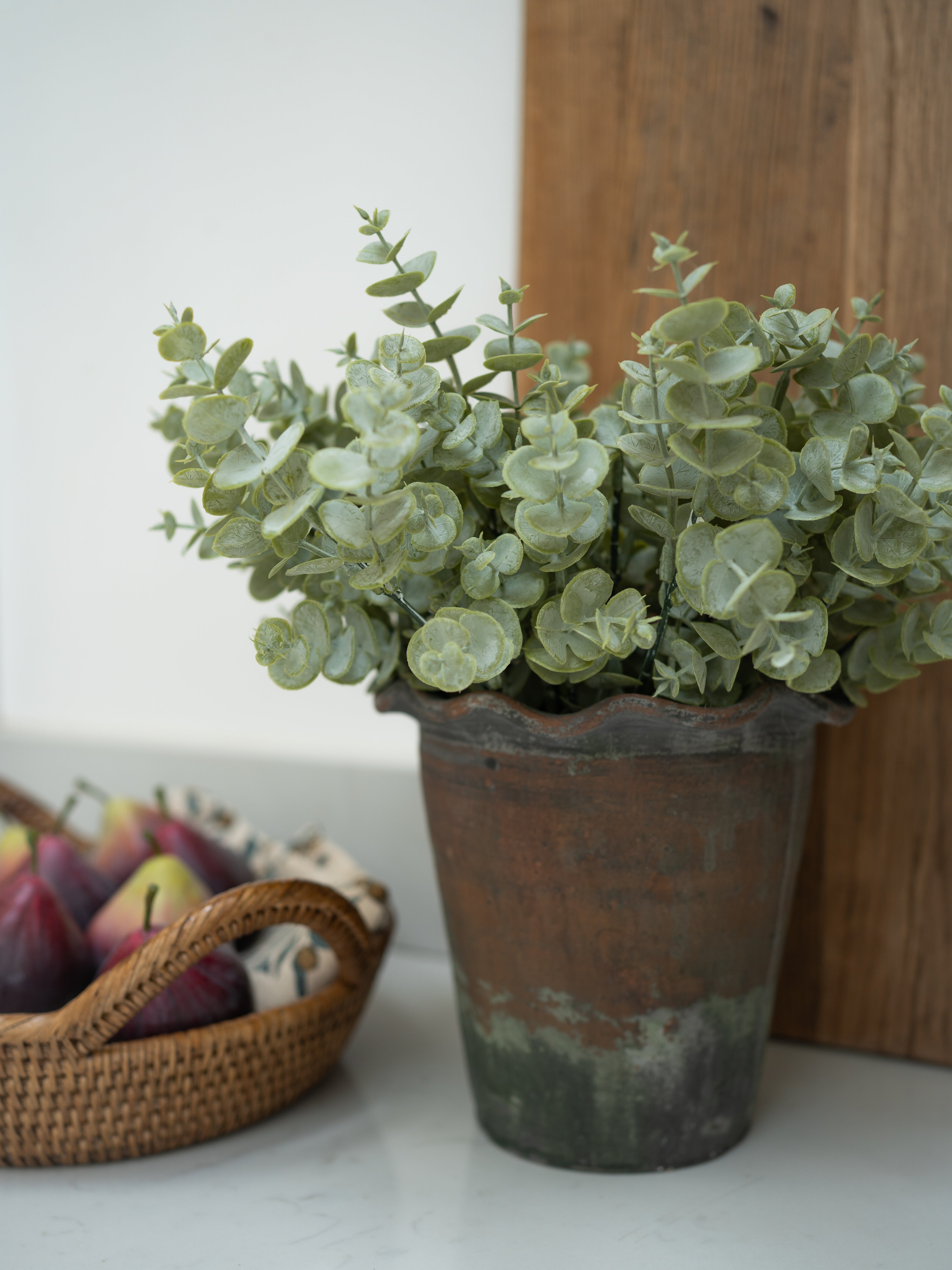 faux eucalyptus bush in a rustic pot on a surface with a basket of apples in the background.
