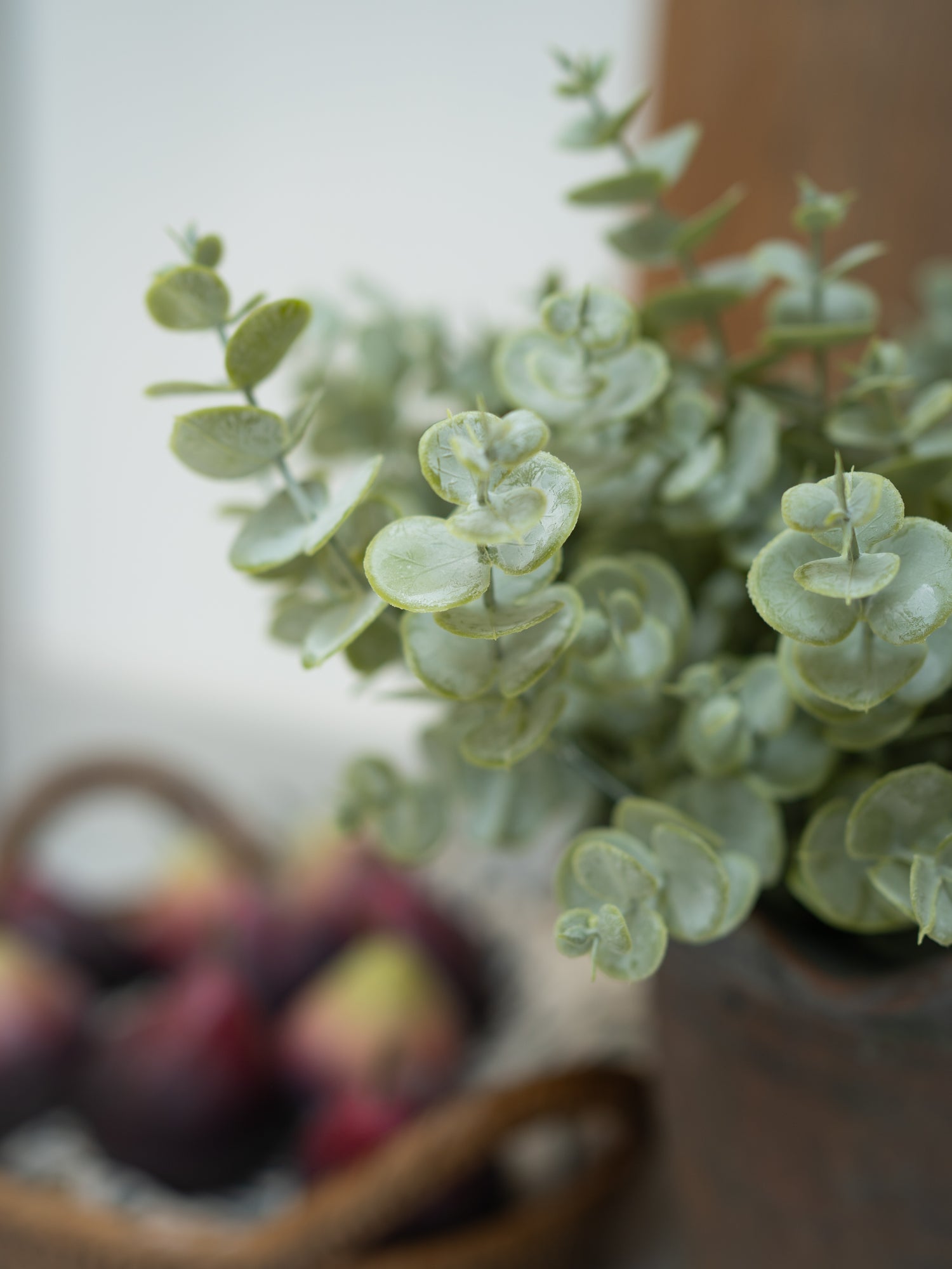 Close-up of a faux eucalyptus plant with blurred background