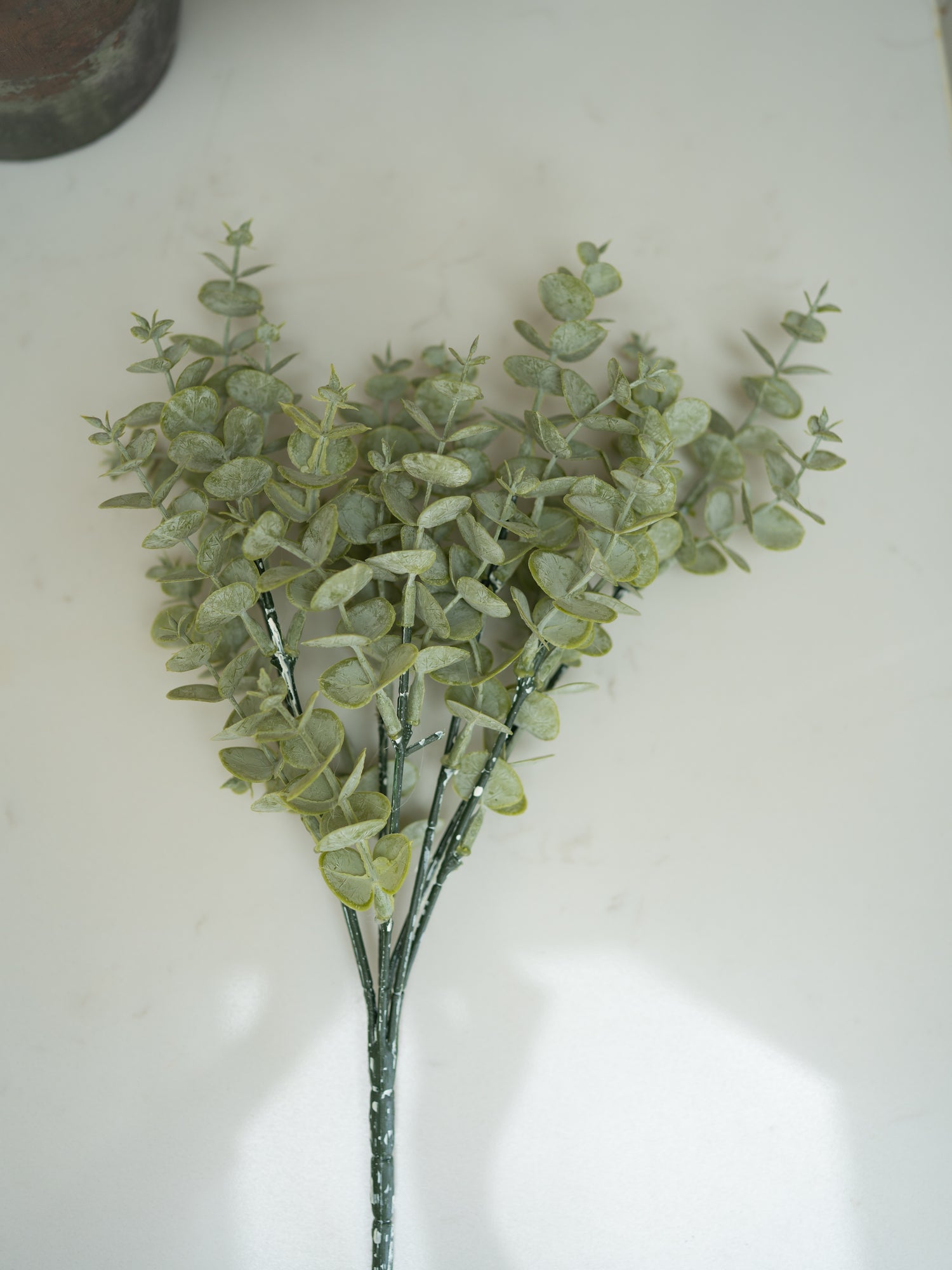 Artificial eucalyptus branch on a white surface