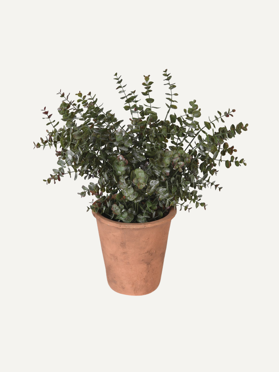 Potted faux eucalyptus plant with green leaves on a white background, perfect for low maintenance home decor