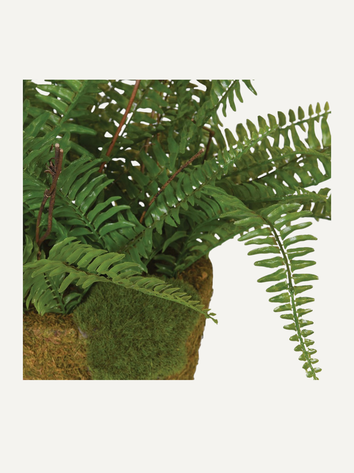 up close of Faux Fern Plant in Moss Covered Pot