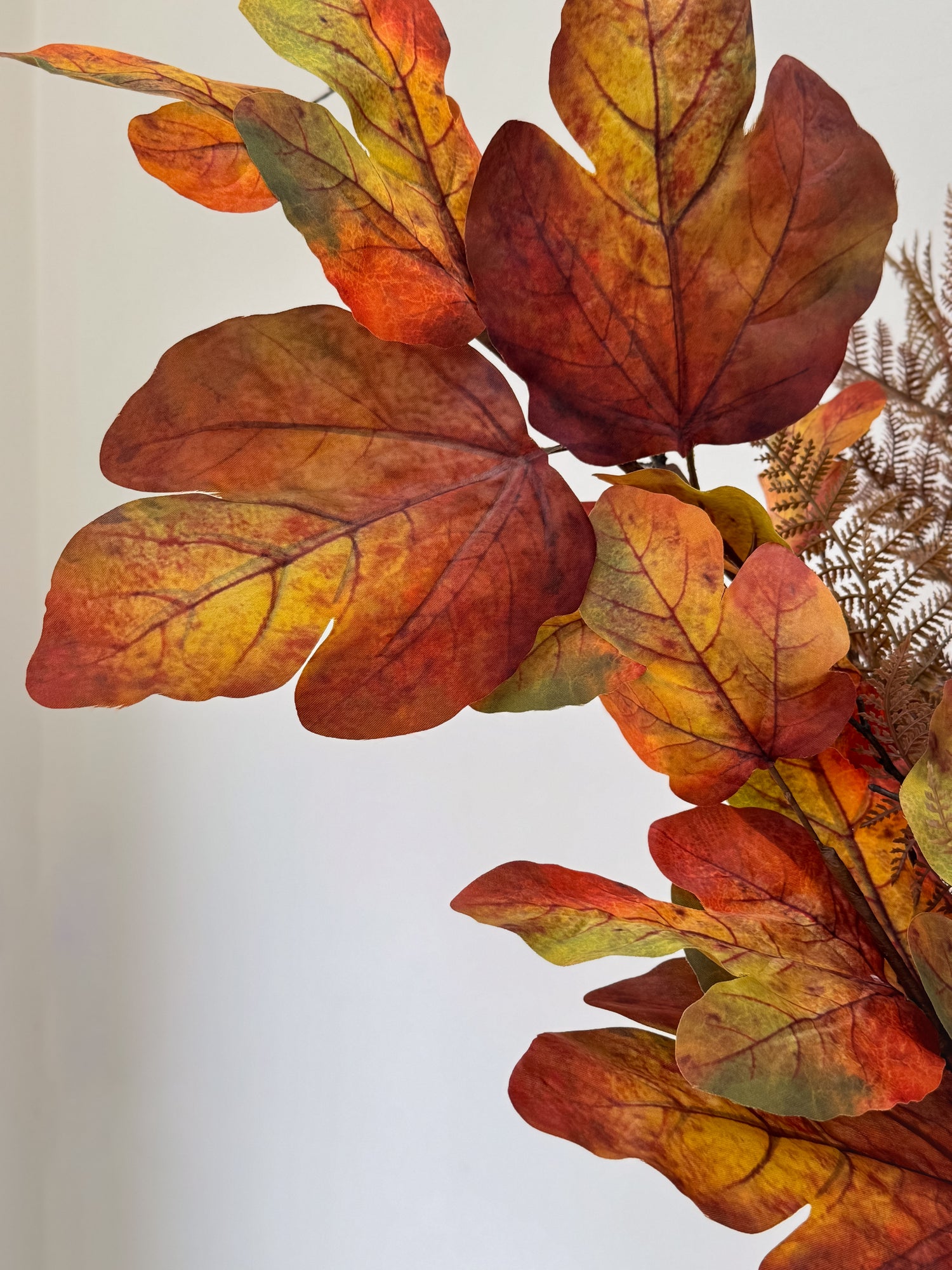 Autumn leaves with red, orange, and yellow colors on a light gray background