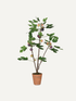 Potted artificial fig tree with green leaves and small fruit on a white background