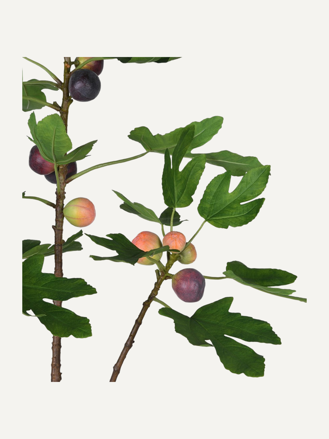 Artificial fig branch with green leaves and purple and orange figs on a white background