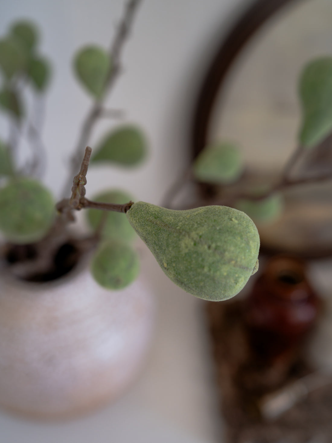 Close-up of a faux green fig on a branch with a blurred background