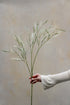 A close-up image of a stem of faux foxtail grass with delicate feathery plumes held against a neutral background.