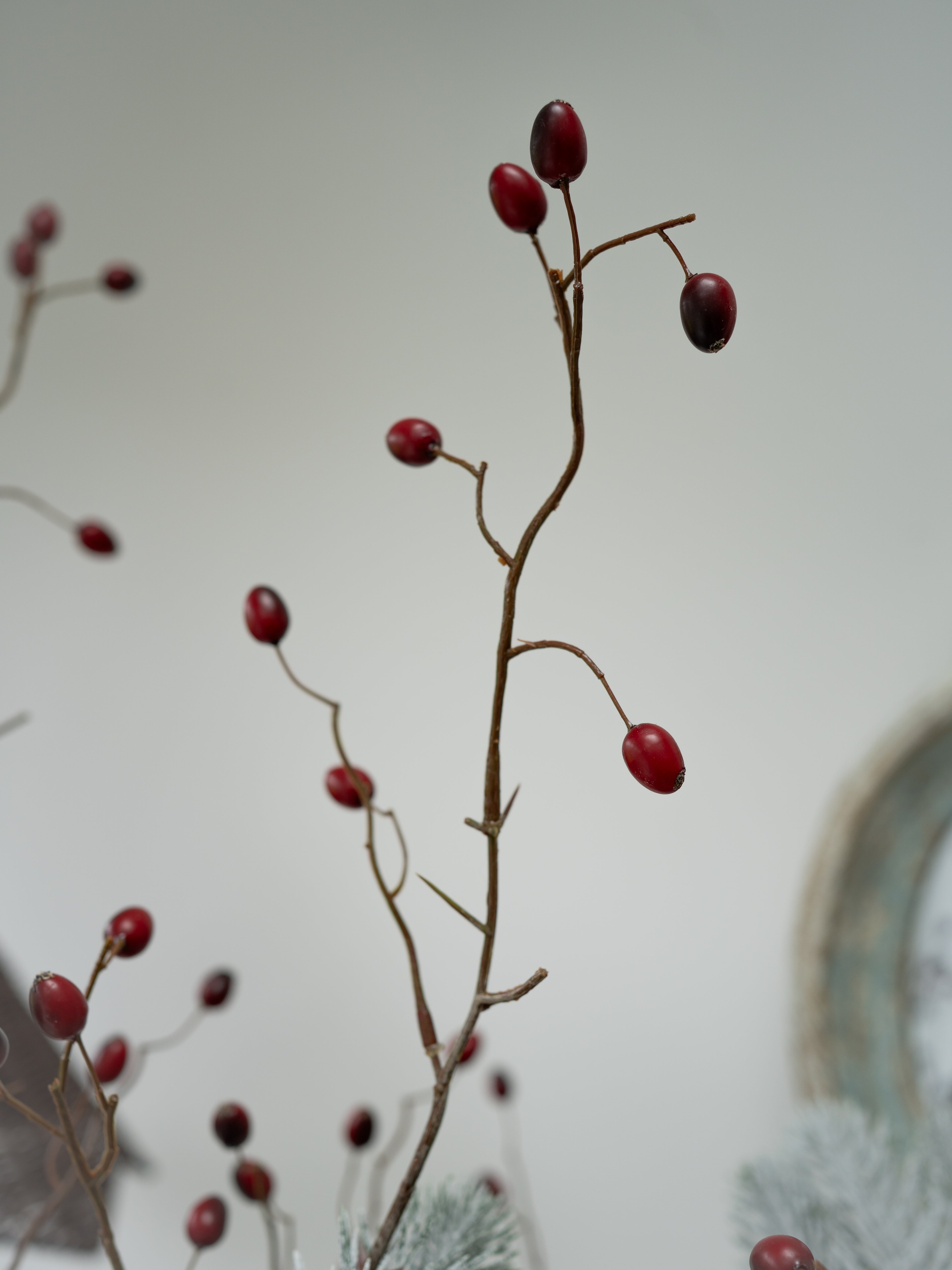 Faux Frosted Pine and Rosehip Branches Floral Arrangement