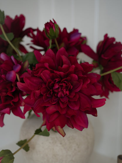 Bouquet of deep Faux Fuchsia Dahlia flowers in a vase against a white background