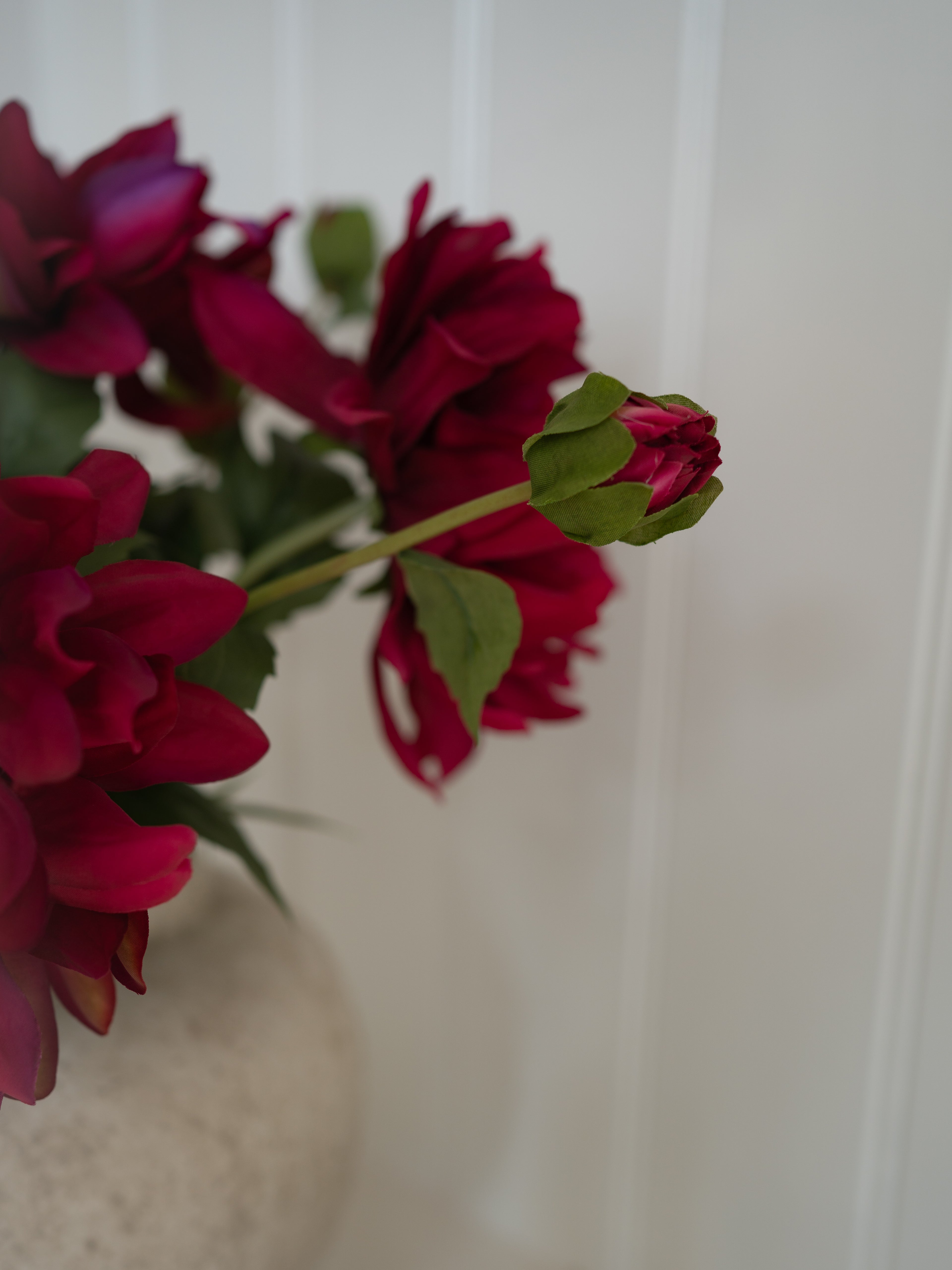 Close-up of Faux Fuchsia Dahlia flowers with a blurred background