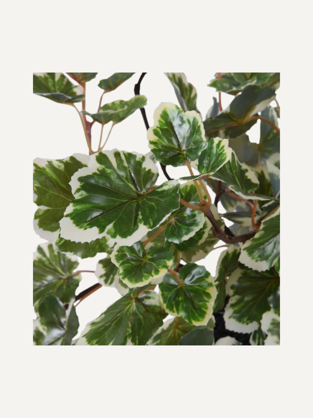 Faux Geranium Leaf Plant