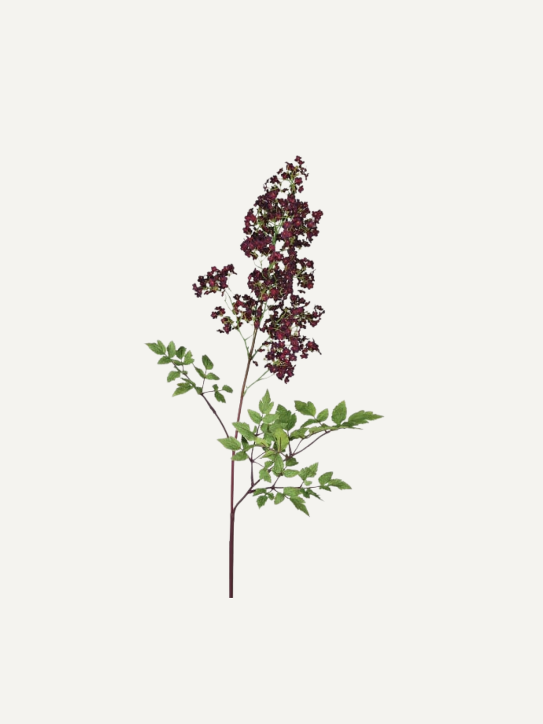 Faux Giant Burgundy Astilbe Stem