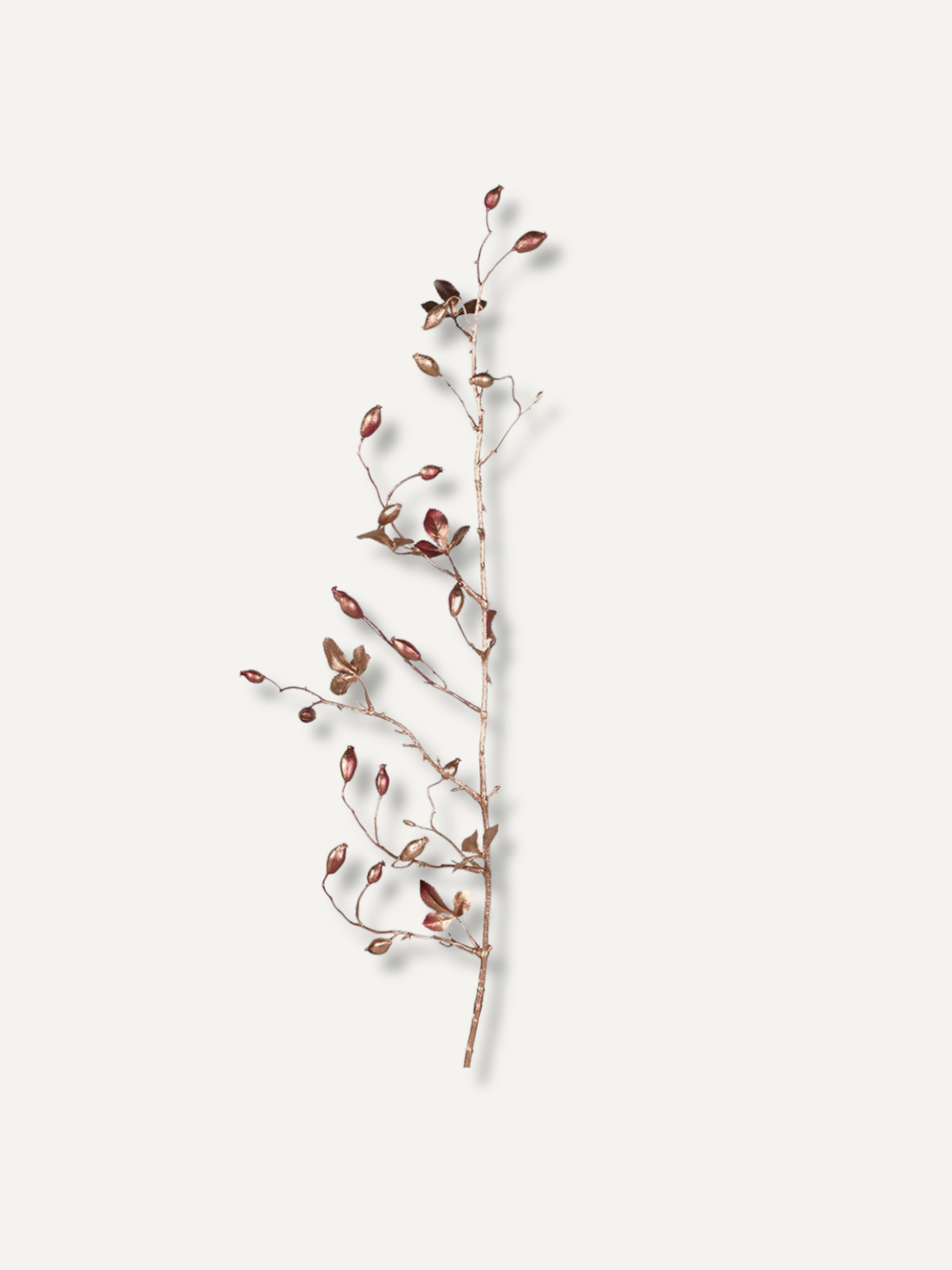 Faux Golden Ombre Rosehip