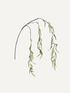 Faux Green Amaranthus Stem