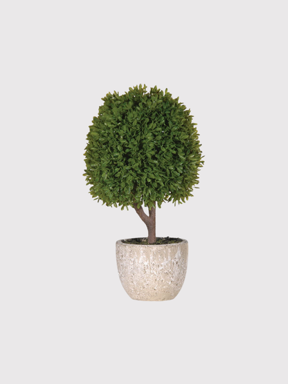 Potted faux boxwood plant with a textured pot on a light gray background