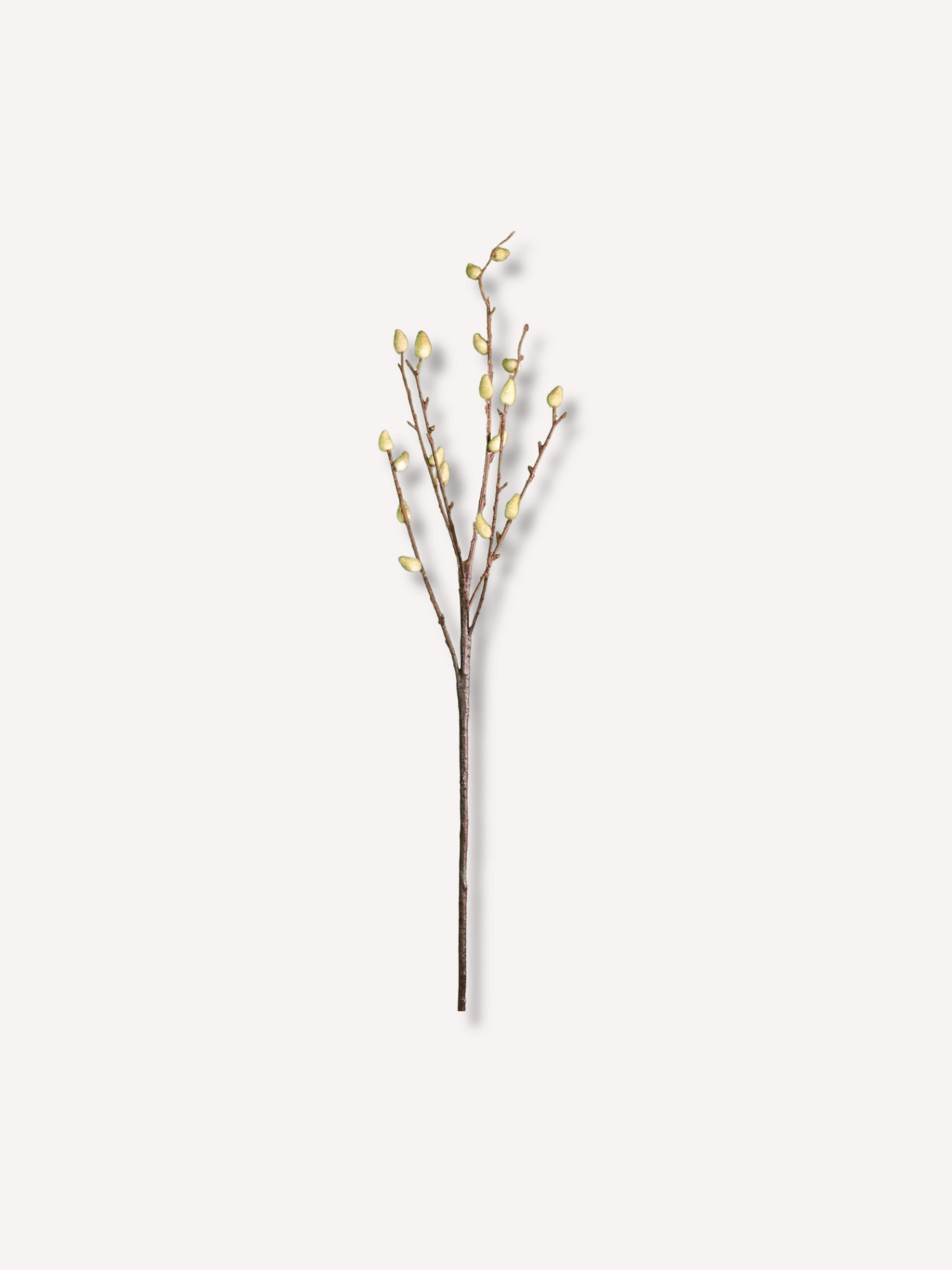 Faux Green Hazelwood Pussy Willow Branch