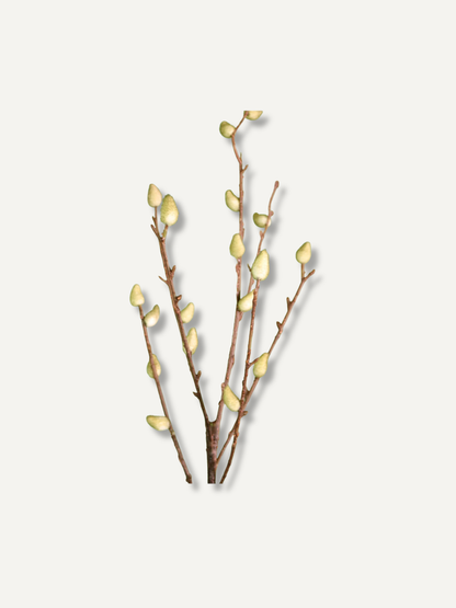 Artificial willow branch decor with light yellow-green buds on brown twigs, isolated on a light gray background.