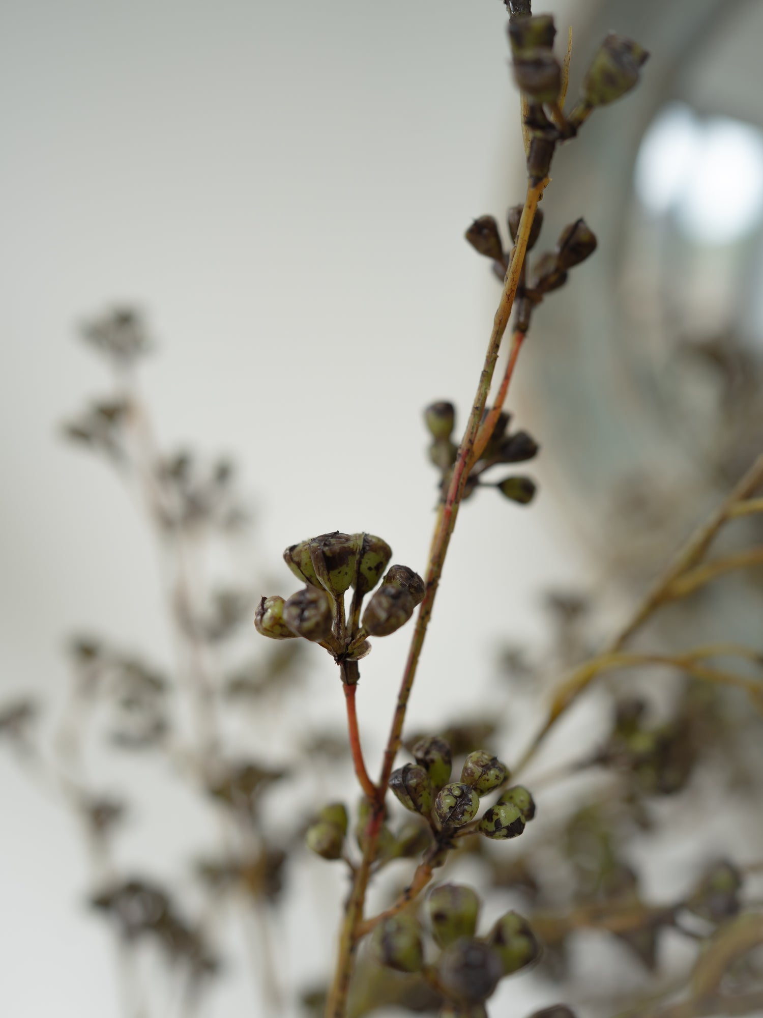 Up close of faux huckleberry pods 