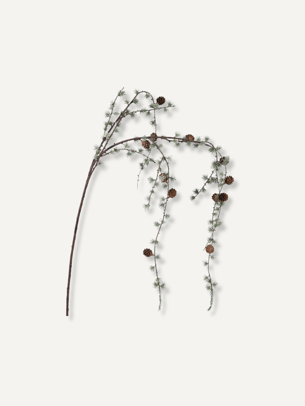 A single decorative christmas foliage branch with small brown pinecones and pale green needles, photographed against a plain off-white background.