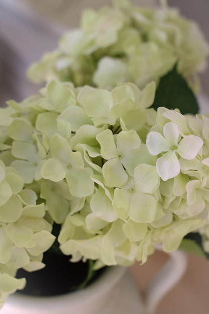 Faux Green Paniculata Hydrangea Stem
