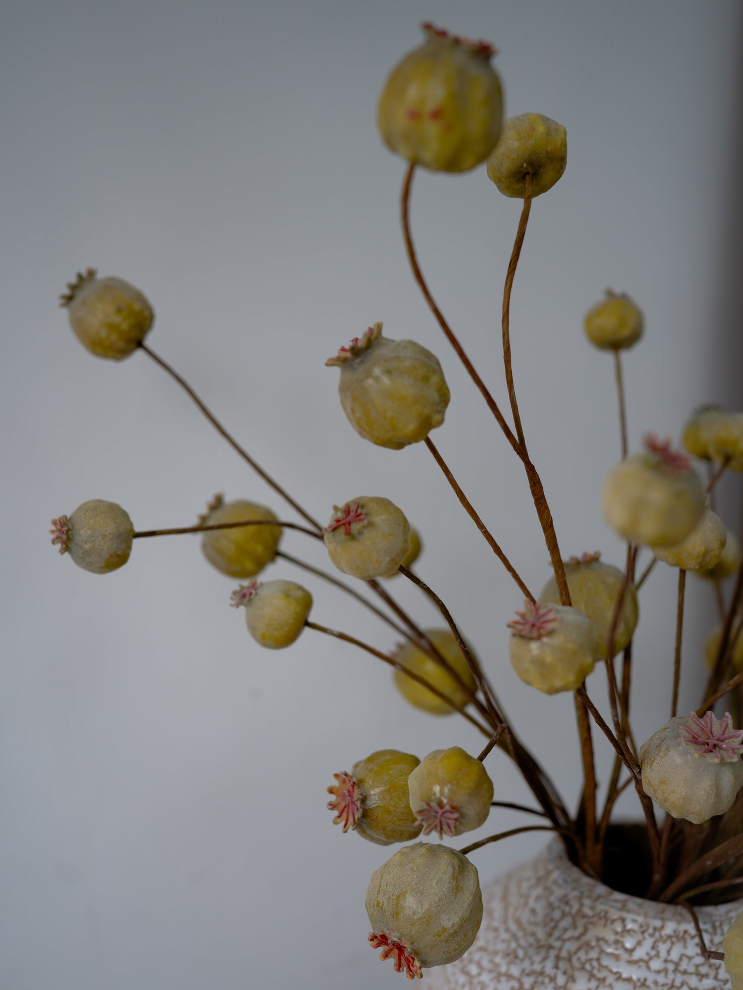 Artificial poppy head branches and brown stems on a white background