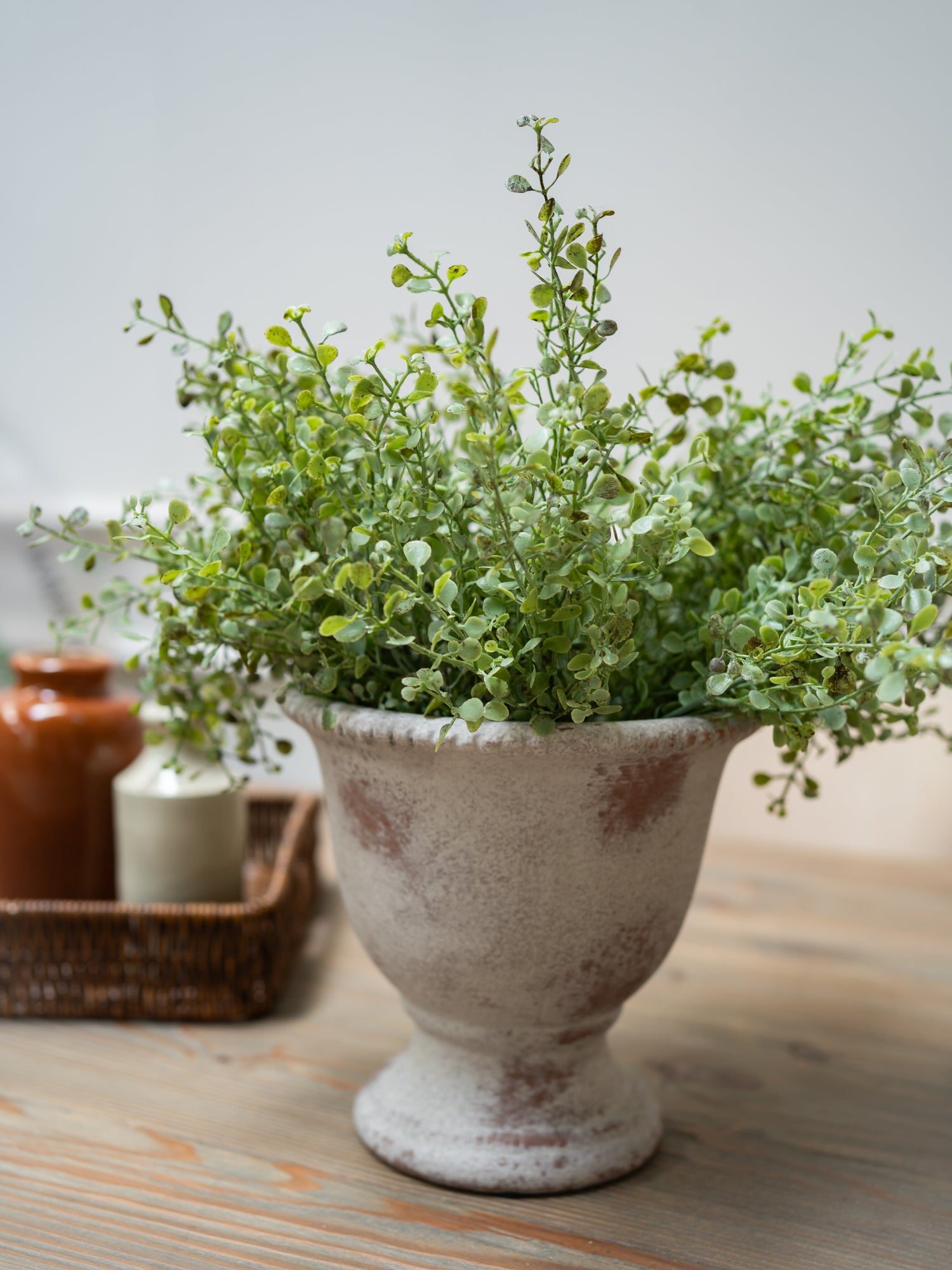 Faux green gunnii eucalyptus in a rustic white pot on a wooden surface with a neutral background